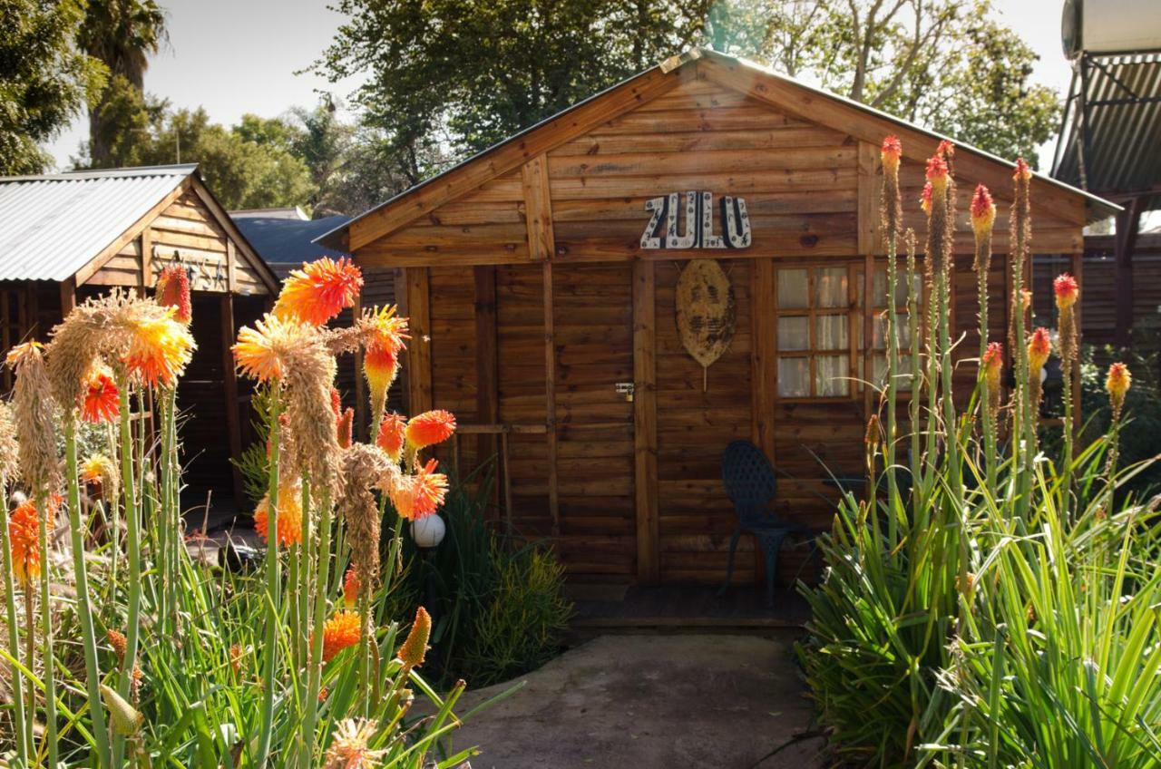 1322 Backpackers International Pansiyon Pretoria-Noord Dış mekan fotoğraf